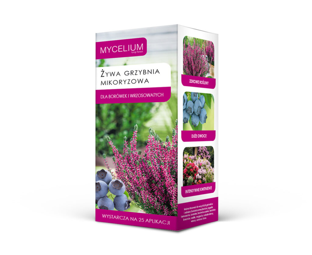 Mikoryza do borówek i wrzosowatych 250 ml - Grzybnia mikoryzowa