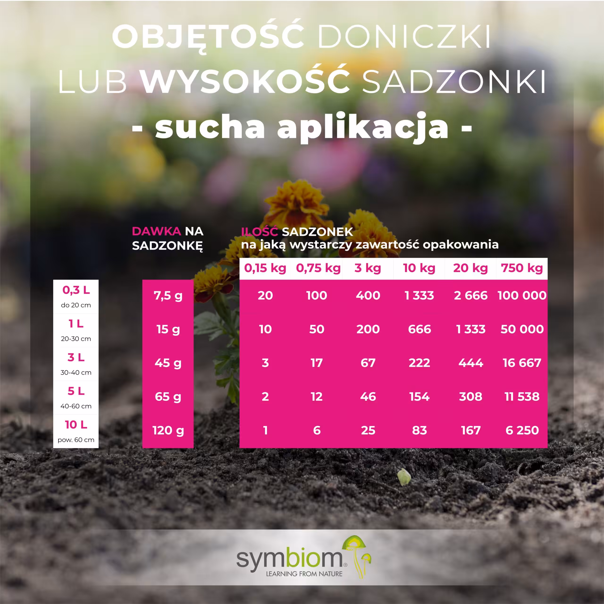 Dawkowanie - sucha aplikacja. Grzyby mikoryzowe Symbivit do kwiatów