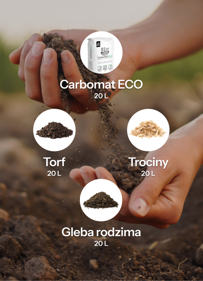 kompozycja podłoża pod borówkę