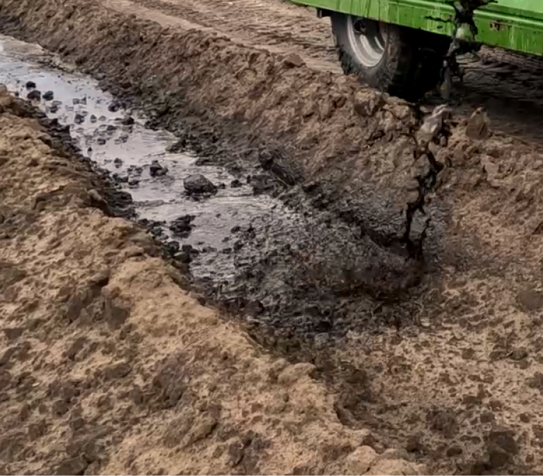 technologia wodnego stopera w uprawie borówek
